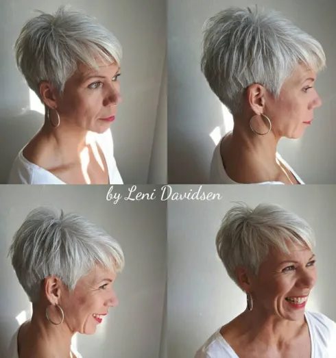 Grauer, stacheliger Pixie